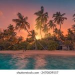 探讨永野一夏热度波动的多重原因与影响 gf3rznr