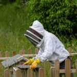 最新发布:ehviewer彩色版功能详解与下载指南 tysqg3zm69