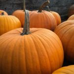 探讨禁天堂无法进入的原因及网络问题解析 xfwpx6e